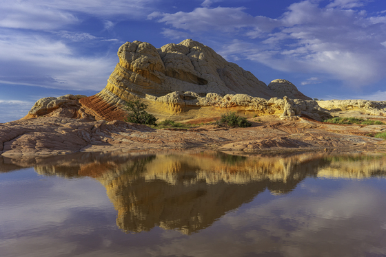 Vermillion Cliffs National Monument