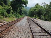 New River Gorge National Park and Preserve 