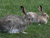 Parent and youngster