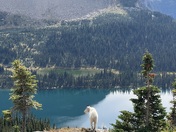 Glacier National Park