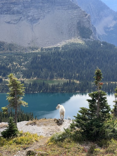 Glacier National Park