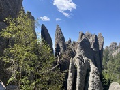 Black Hills National Forest 