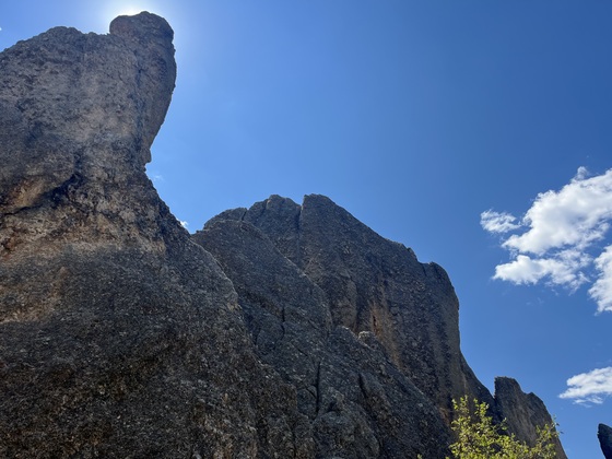 Black Hills National Forest 