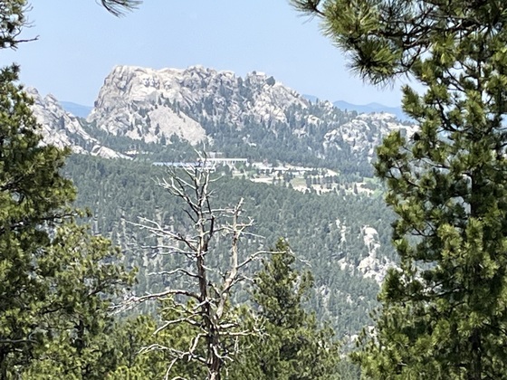 Black Hills National Forest 