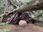 Sleeping Bear Dunes National Park