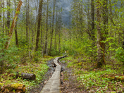 Stormy Spring Morning