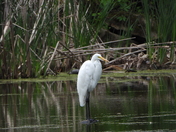 Sortie du 20 juin 2025