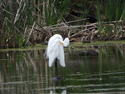 Sortie du 20 juin 2025