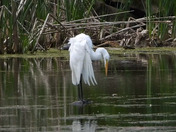 Sortie du 20 juin 2025