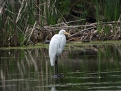 Sortie du 20 juin 2025