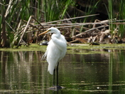 Sortie du 20 juin 2025