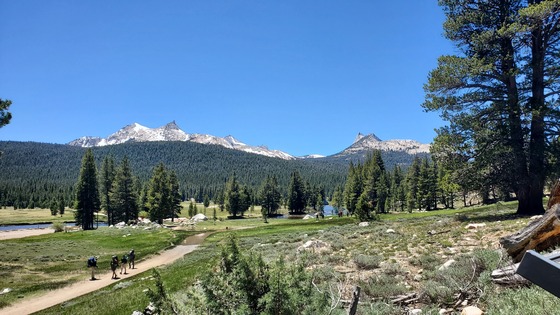 Yosemite National Park