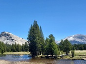 Yosemite National Park