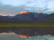 Inyo National Forest