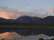 Inyo National Forest