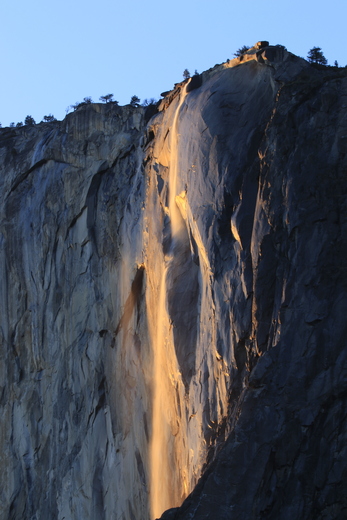 Yosemite National Park