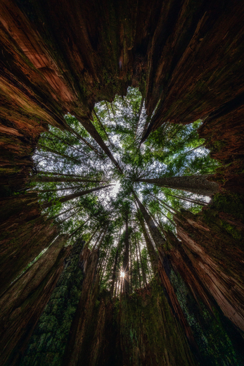Mt. Baker-Snoqualmie National Forest