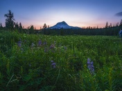 Mt. Hood National Forest