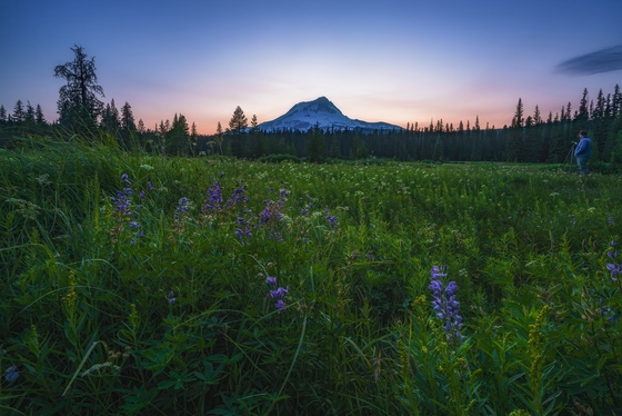 Mt. Hood National Forest