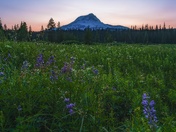 Mt. Hood National Forest