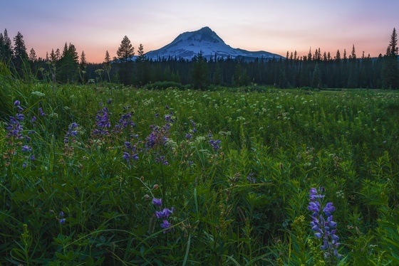 Mt. Hood National Forest