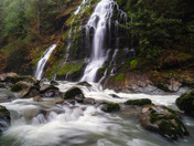Mt. Baker-Snoqualmie National Forest