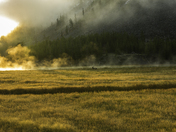 Yellowstone National Park