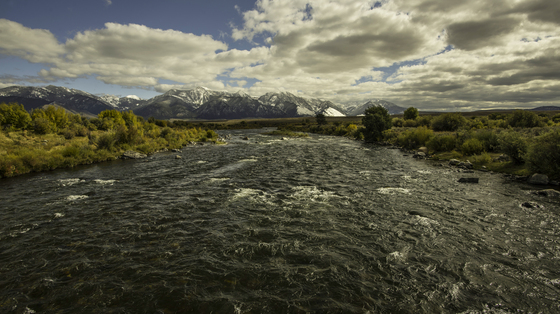 Madison River-Yellowstone National Park