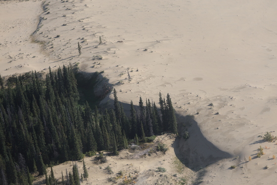 Kobuk Valley National Park