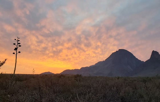 Big Bend National Park 