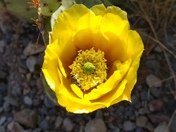 Big Bend National Park 