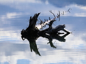 Gates of the Arctic National Park