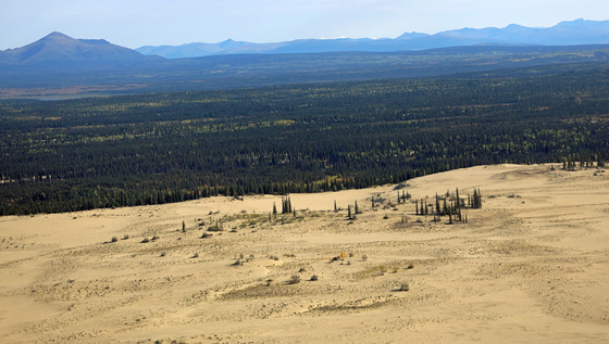 Kobuk Valley National Park