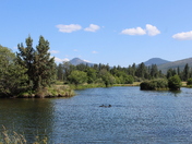Hat Creek, Lassen National Forest 