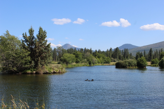 Hat Creek, Lassen National Forest 