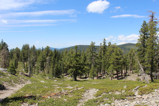 Lassen National Park, Chaos Crags Trail