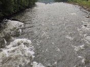 New River Gorge National Park and Preserve 