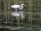 Sortie du 22 juin 2025 (today observations on the 22 th of June 2025)