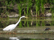 Sortie du 22 juin 2025 (today observations on the 22 th of June 2025)