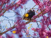 Mammoth Cave National Park