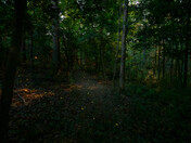 Congaree National Park