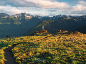 Olympic National Park