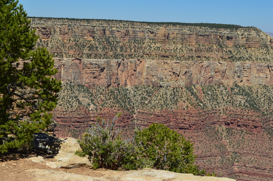 Grand Canyon National Park