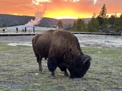 Yellowstone National Park