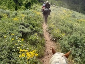 Caribou-Targhee National Forest 