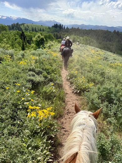 Caribou-Targhee National Forest 
