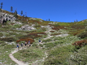 Castle Crags Wilderness 