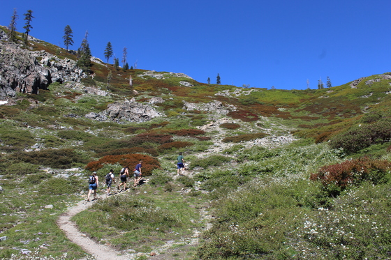 Castle Crags Wilderness 