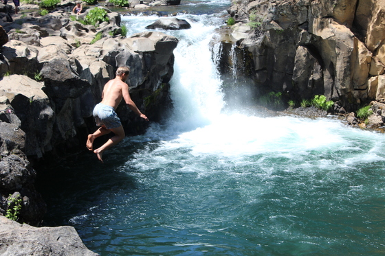 Shasta-Trinity National Forest 
