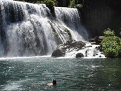 Shasta-Trinity National Forest 